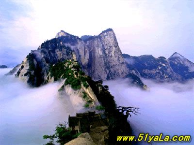 2008��12���� �Ƽ����ʺ�������ε�