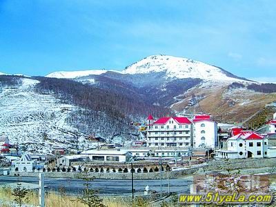 ϸ������ʮ����ѩʤ��