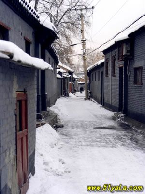 ϸ������ʮ����ѩʤ��