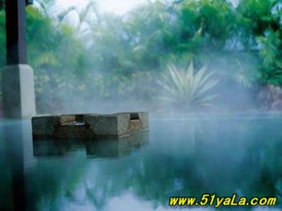 ȫ��10���ݻ�SPA�Ƶ�