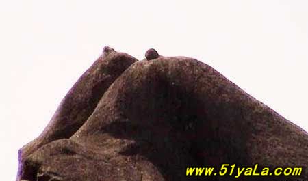 �й�ʮ������˫����ɽ��