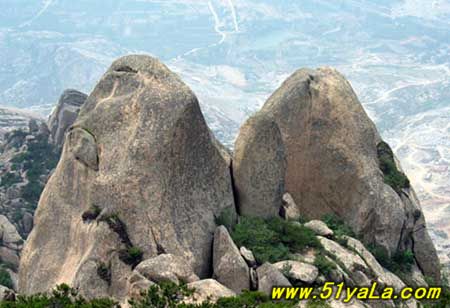 �й�ʮ������˫����ɽ��