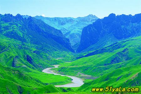 �й���ѣĿ��ʮ����������