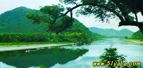 �й���ѣĿ��ʮ����������