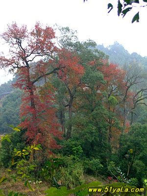 �����ϱ��ѳ�18��������ɽ��