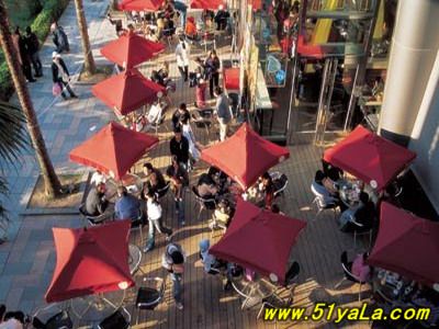 ȫ���������ʮ���н�