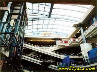 ȫ���������ʮ���н�