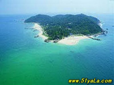 ȫ��10��ֲ����ص���