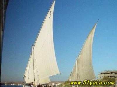 ������������������ʮ������ˮ�����