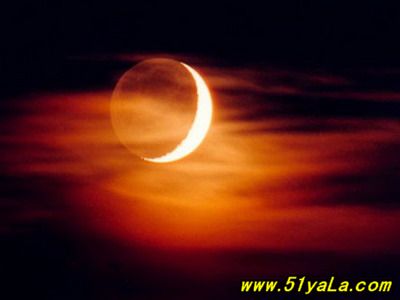 ����ʮ���������