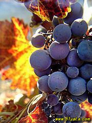 ȫ��ʮ�����Ѿ����ξ���