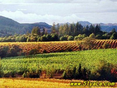 ȫ��ʮ�����Ѿ����ξ���