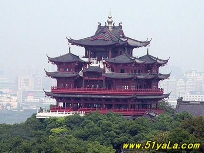 �л���¥���