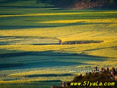 �й����ʮ��������Դ