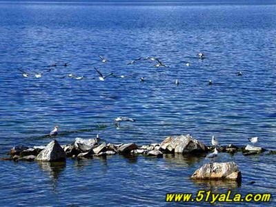 ���������ص�9��ʥ��