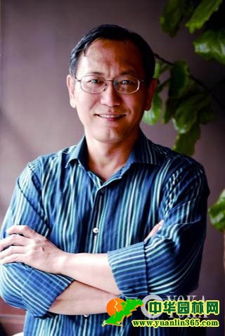 居室花艺设计十一招组图