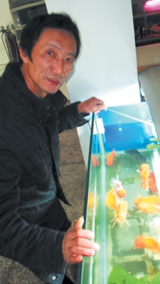 浏阳养鱼高手揭秘年年有鱼金鱼行动靠电脑编程