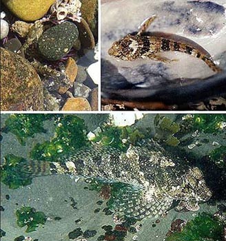 ���۽磬���ֿ����ڡ�½�������ߵ��㡱