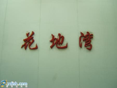 Ȥζ������