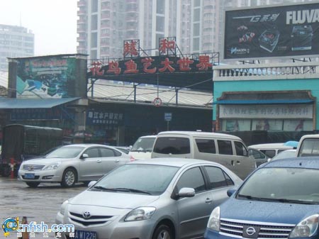 Ȥζ������