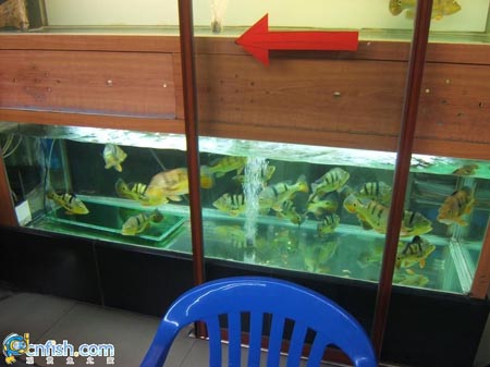 Ȥζ������