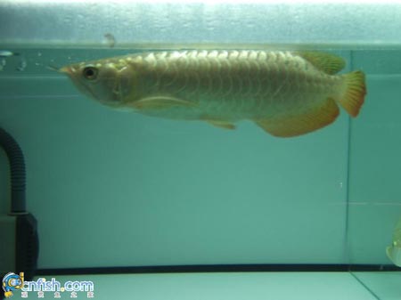 Ȥζ������