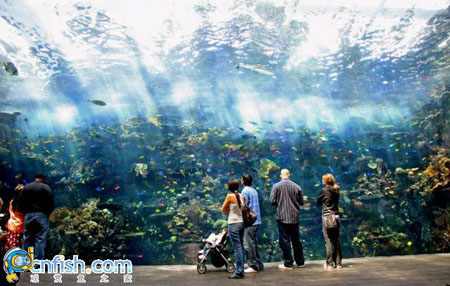 �������ƻֺ����������ˮ���