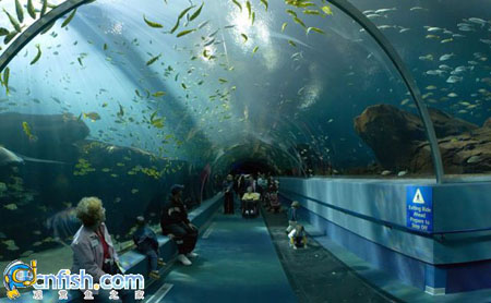 �������ƻֺ����������ˮ���