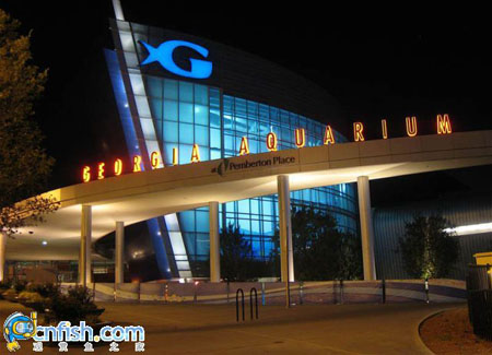 �������ƻֺ����������ˮ���