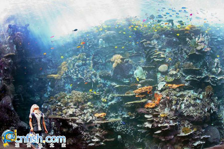 �������ƻֺ����������ˮ���