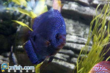 ��������ݵĵ�ˮ��