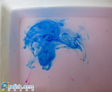 ���ѵġ��Ϸ��ӡ�