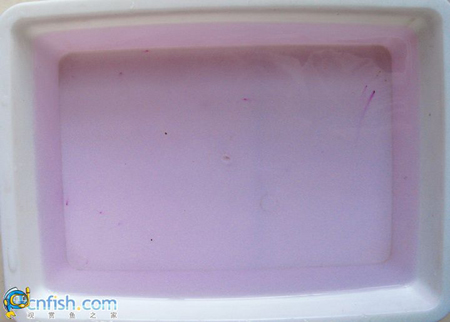 ���ѵġ��Ϸ��ӡ�