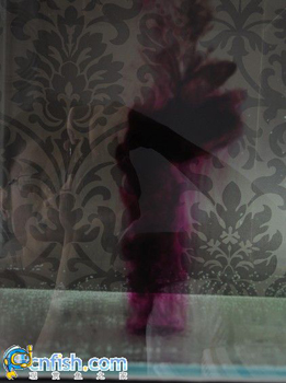 ͼʾ������������ľ