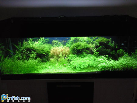 �͹�+��̼+�ͷ�+�͹���Ҳ�����ò�