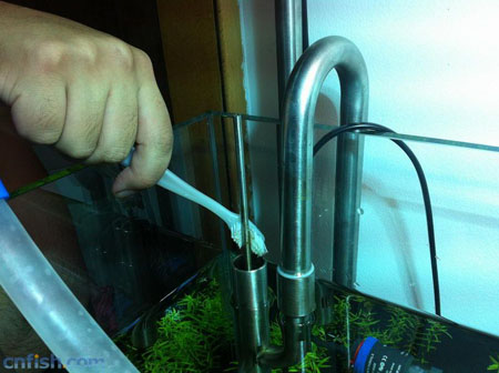 ͼ�Ľ��ܲݸ׻�ˮȫ����