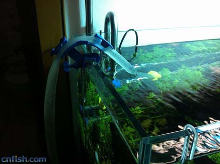 ͼ�Ľ��ܲݸ׻�ˮȫ����