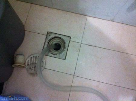 ͼ�Ľ��ܲݸ׻�ˮȫ����