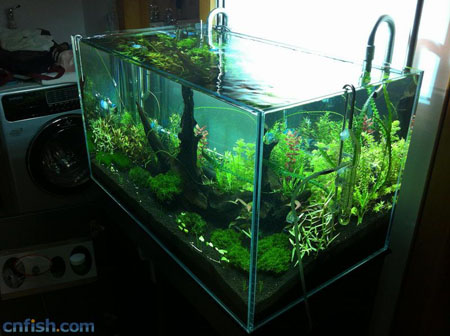 ͼ�Ľ��ܲݸ׻�ˮȫ����