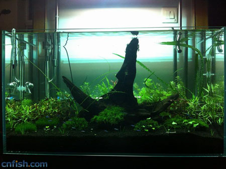 ͼ�Ľ��ܲݸ׻�ˮȫ����