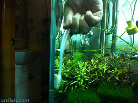 ͼ�Ľ��ܲݸ׻�ˮȫ����