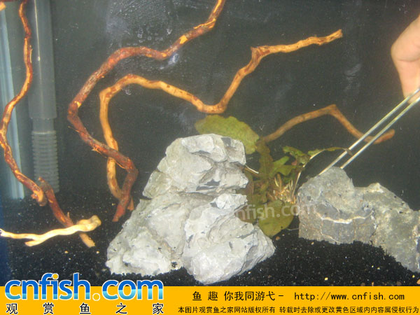 �����̳�����ˮ�ݸ�ʵս�̳�