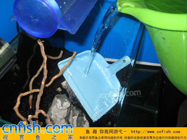 �����̳�����ˮ�ݸ�ʵս�̳�