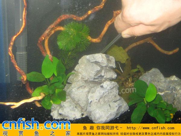 �����̳�����ˮ�ݸ�ʵս�̳�