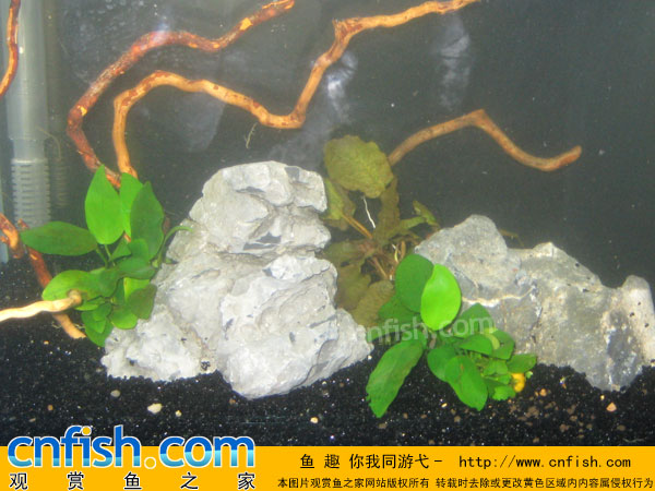 �����̳�����ˮ�ݸ�ʵս�̳�