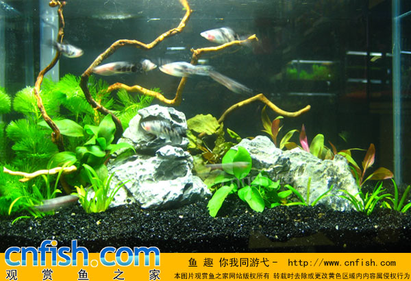 �����̳�����ˮ�ݸ�ʵս�̳�