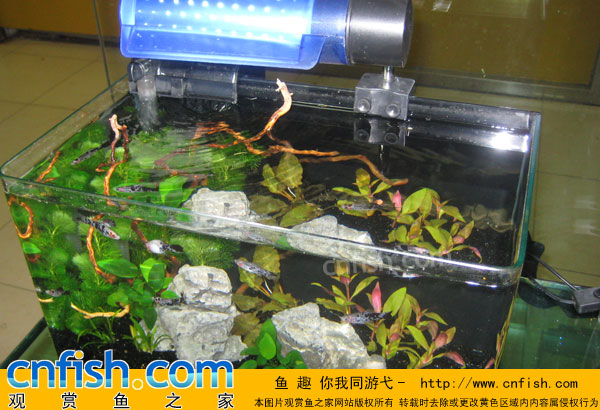 �����̳�����ˮ�ݸ�ʵս�̳�