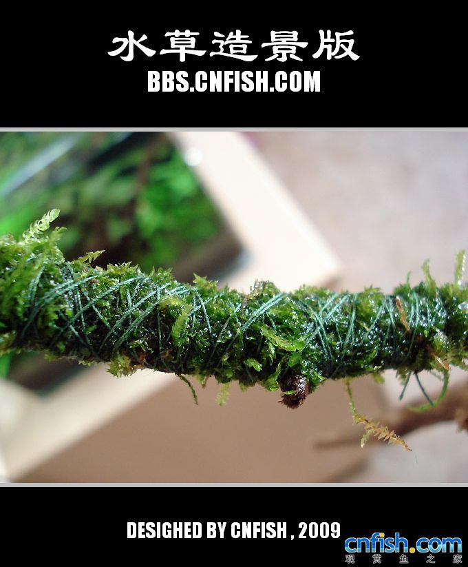 ʯľ������ˮ�����쾰�����м�