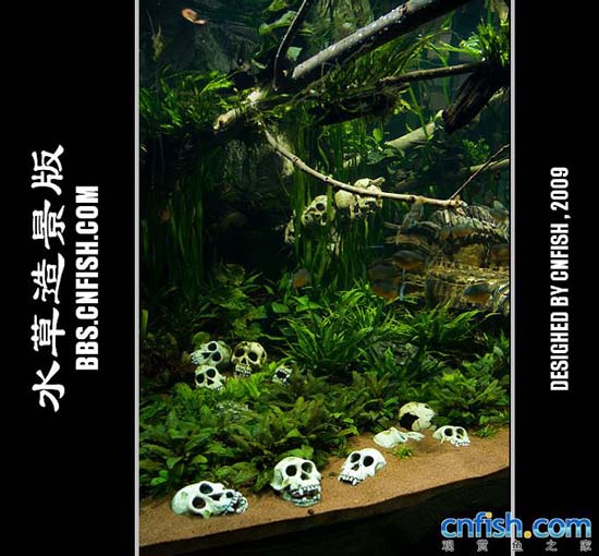 ���༫�˵�ˮ���쾰����ˮ��ˮ�ݸ�