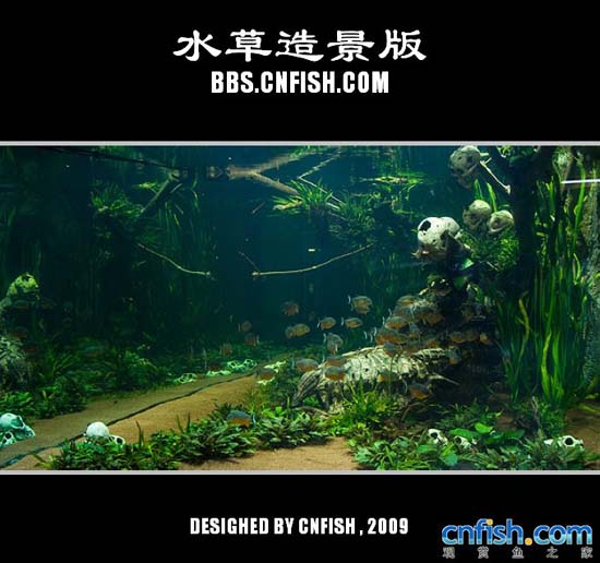 ���༫�˵�ˮ���쾰����ˮ��ˮ�ݸ�